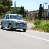 Montevago 2010 (476)